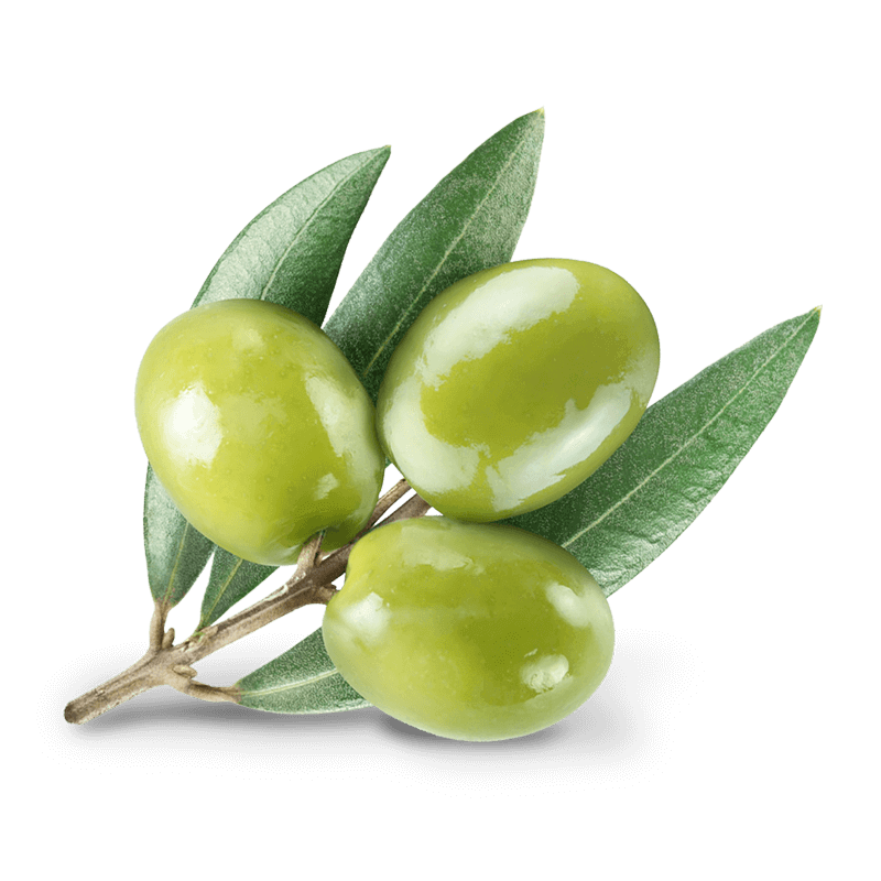 Olives 1 800px NB